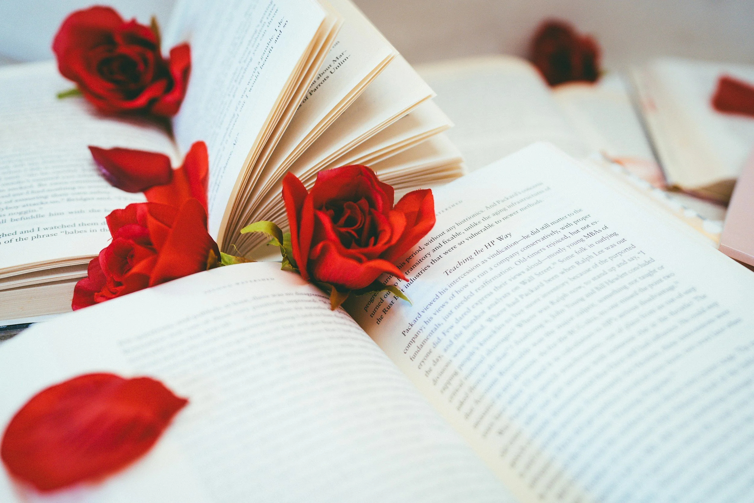 Six Great Reads for Sant Jordi: A Day of Books & Roses